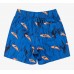 QUIKSILVER EQKJV03263-BSW4 ΠΑΙΔΙΚΟ ΜΑΓΙΟ ΒΕΡΜΟΥΔΑ ΑΓΟΡΙ ΠΟΛΥΧΡΩΜΟ